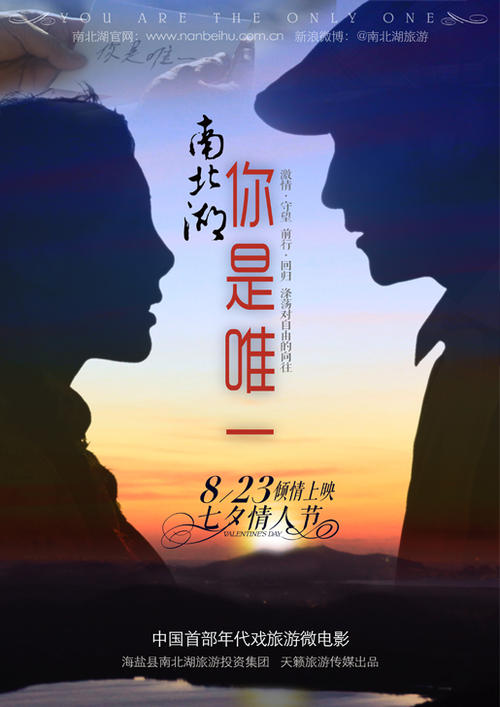 莫内地中海自由大学Accounting Diploma